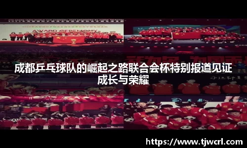 彩神彩票vIII