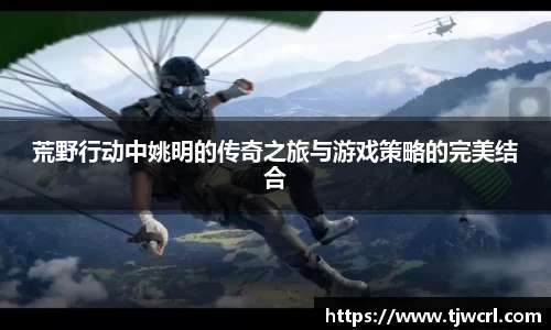 彩神VI首页