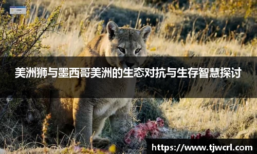 彩神VI首页官网